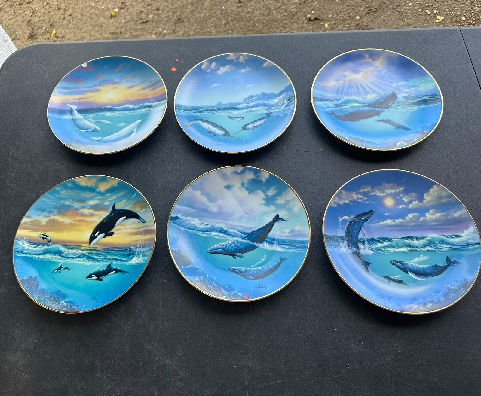 Set of 6 Dolphin Ocean Scene Collector Plates Blue with Gold Rim
