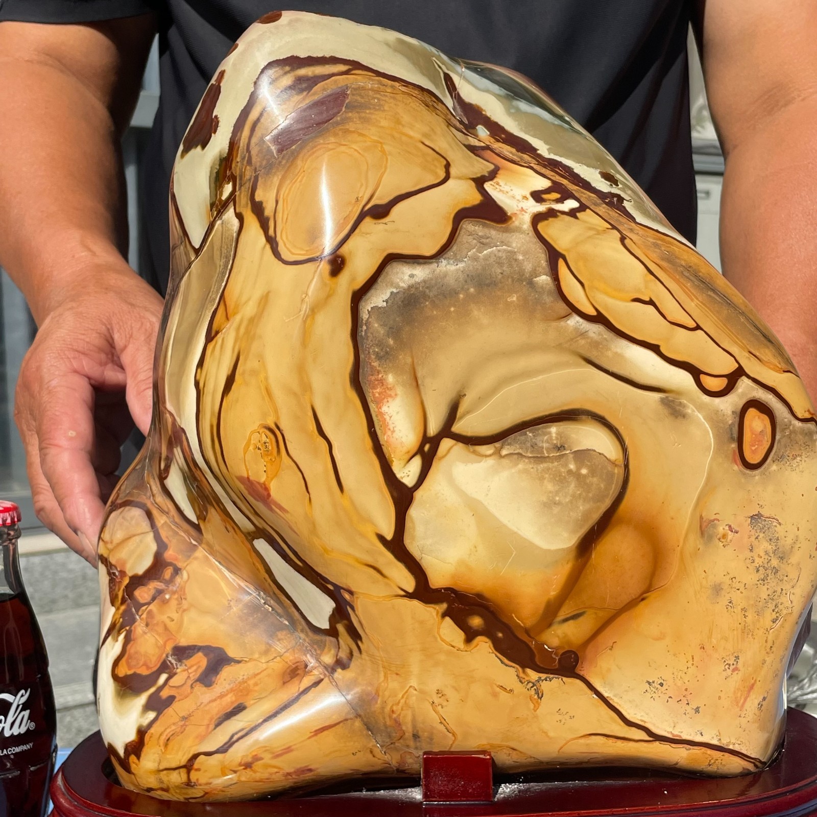 40lb Large Natural Ocean Jasper Mineral Crystal Specimen, Healing Stone