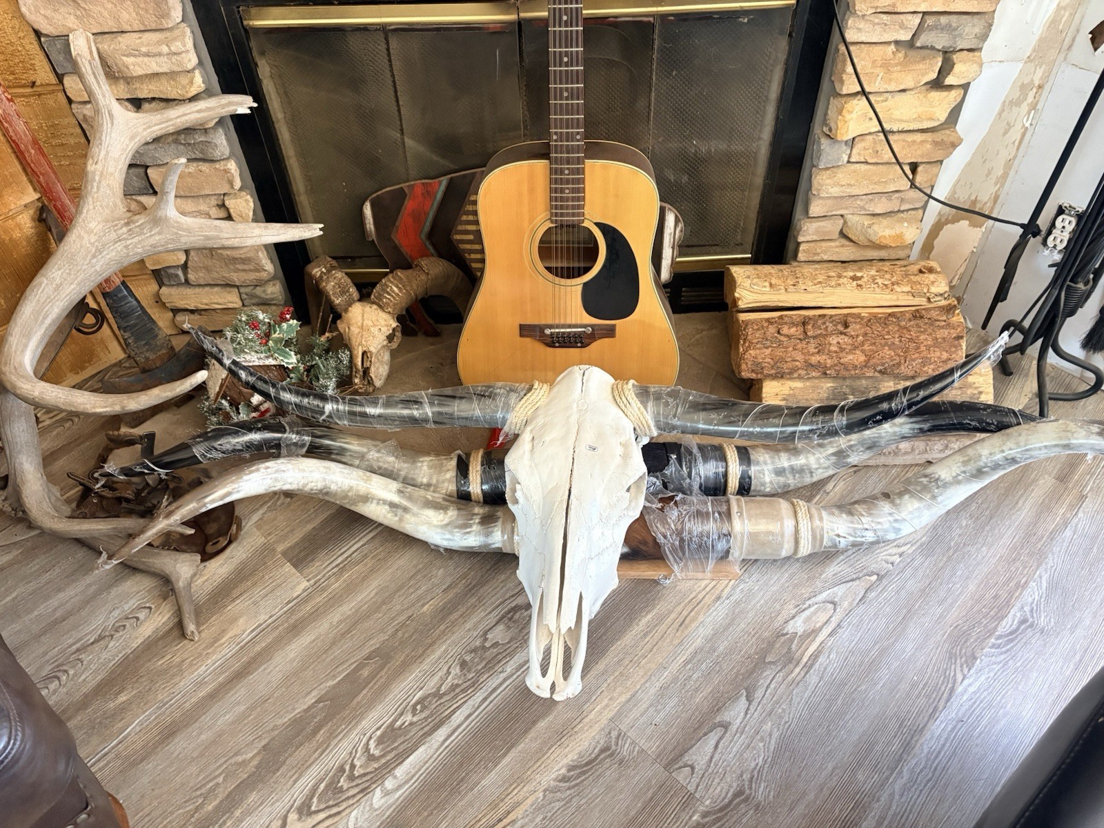 Western Americana Longhorn Steer Skull with Horns Wall Decor
