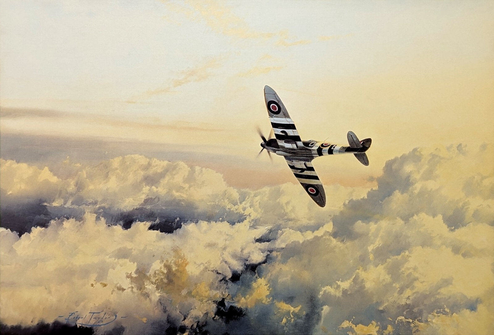 WINGS OF GLORY by Robert Taylor aviation art two print portfolio