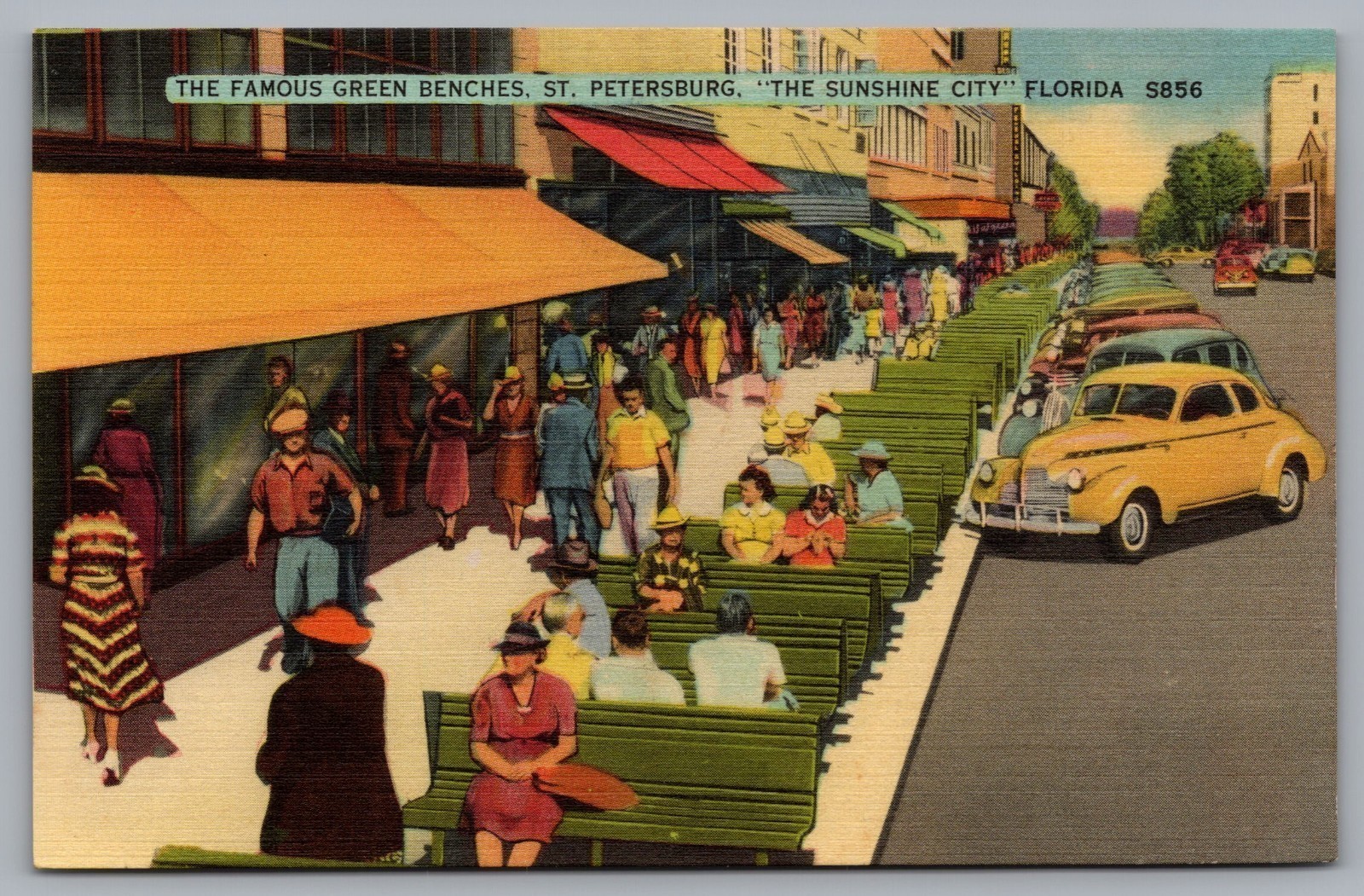 Famous Green Benches, People, Old Cars, Stores in St. Petersburg, FL. Postcard