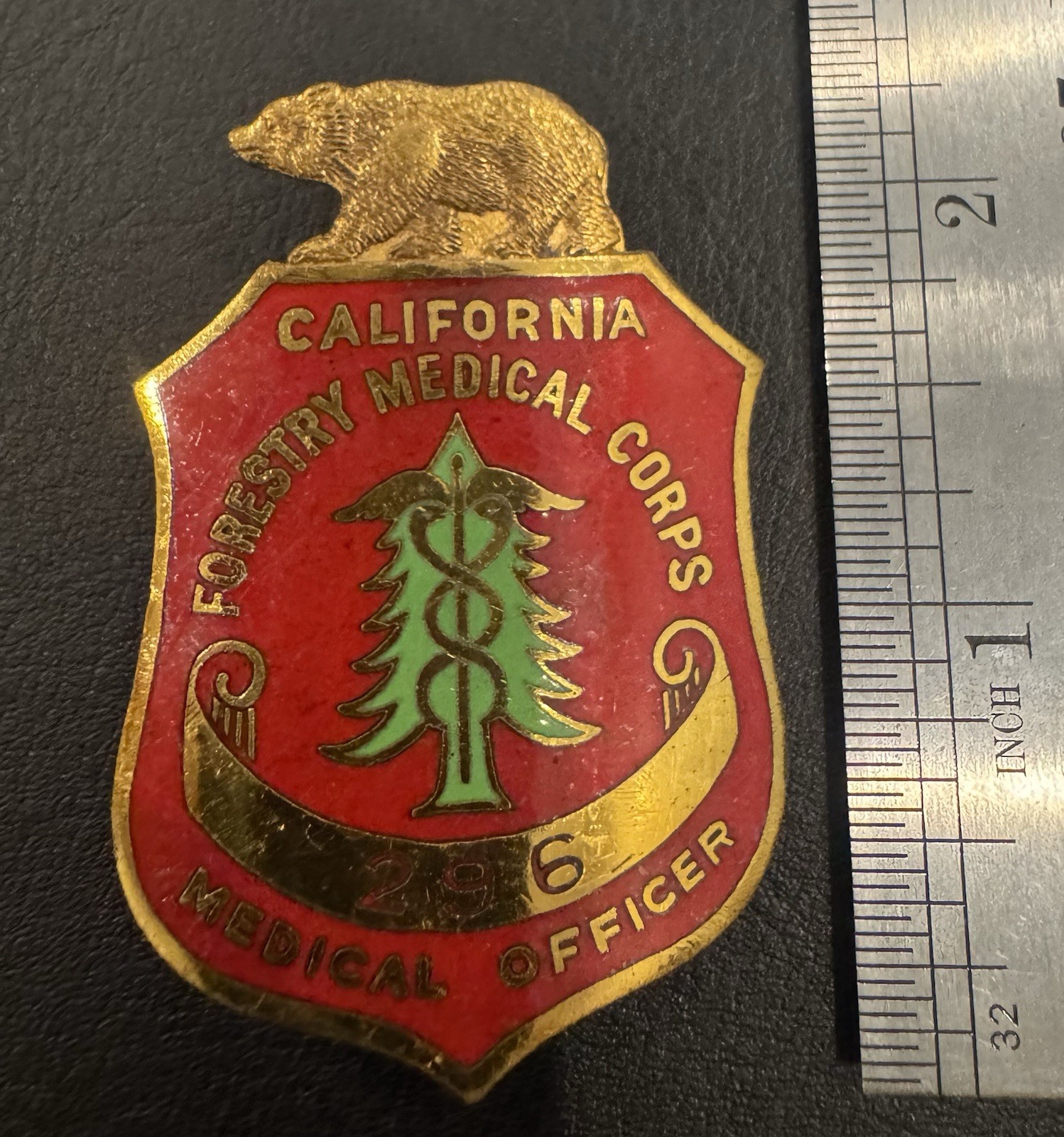Rare, Antique, California, Forestry Medical Corps, MEDICAL OFFICER, Badge