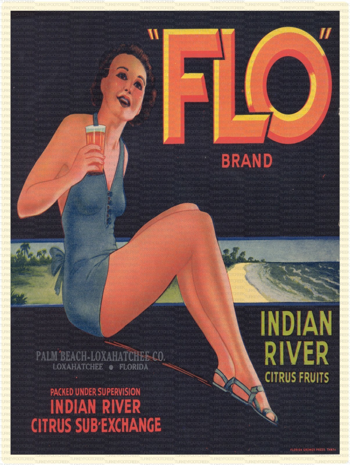 Flo Brand Florida Fruit Label 9