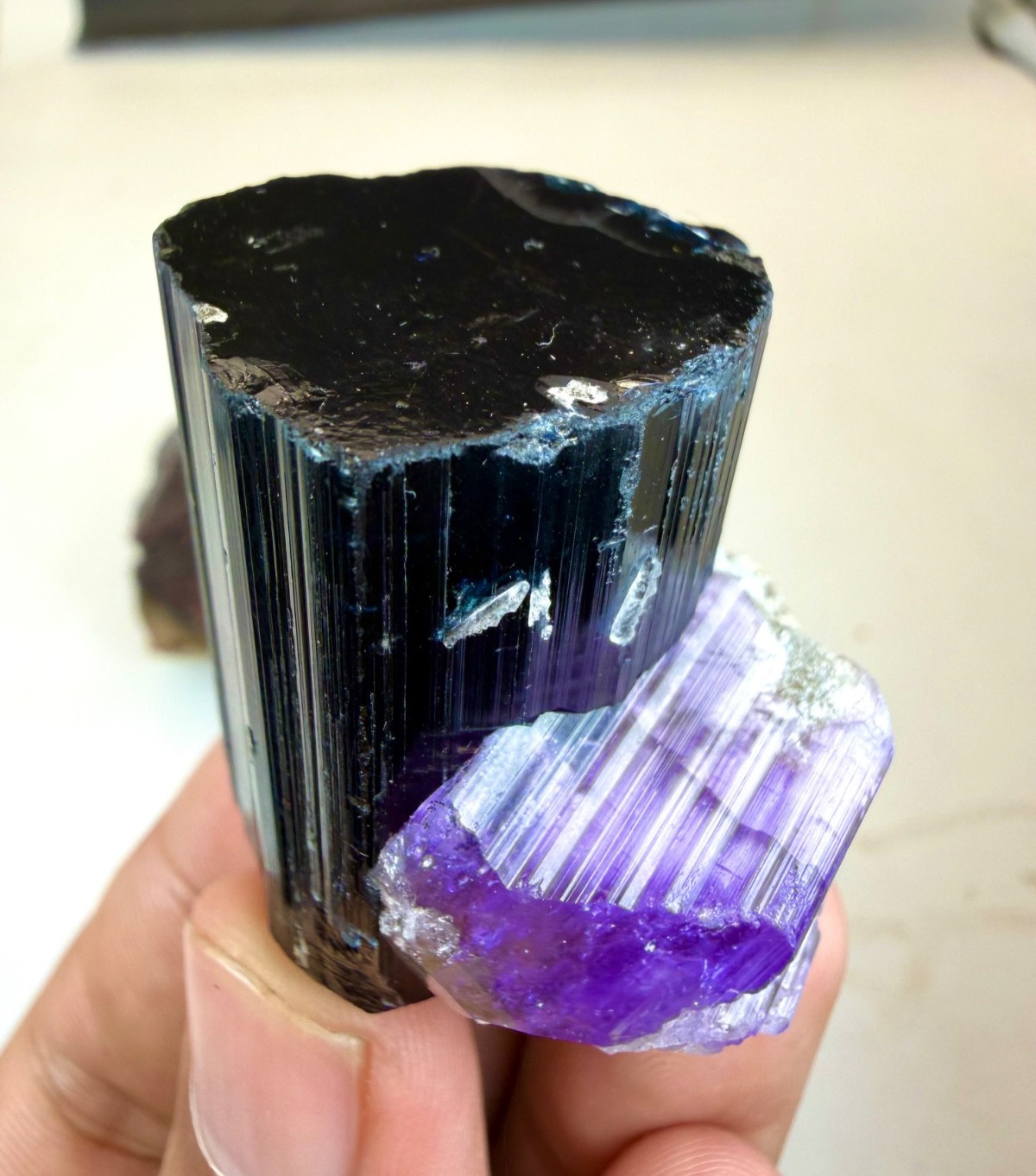 Natural Purple Apatite With Schorl Tourmaline Crystal Combine/ From Afg, 395 CTS