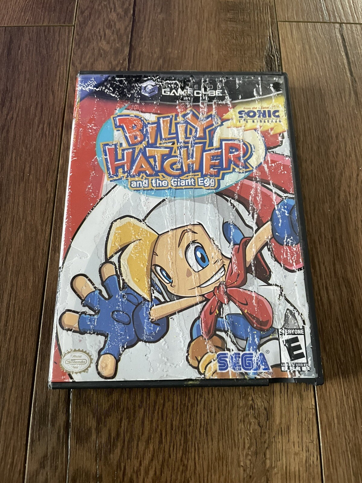 Billy Hatcher and the Giant Egg (Nintendo GameCube, 2003) CASE ONLY