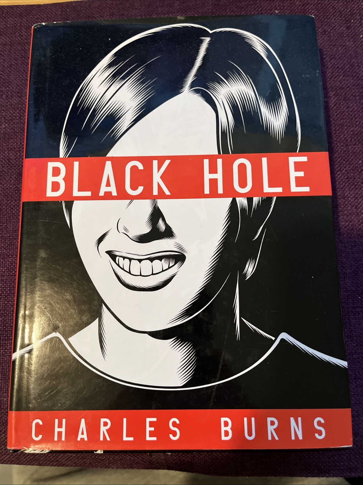 Black Hole by Charles Burns: Used