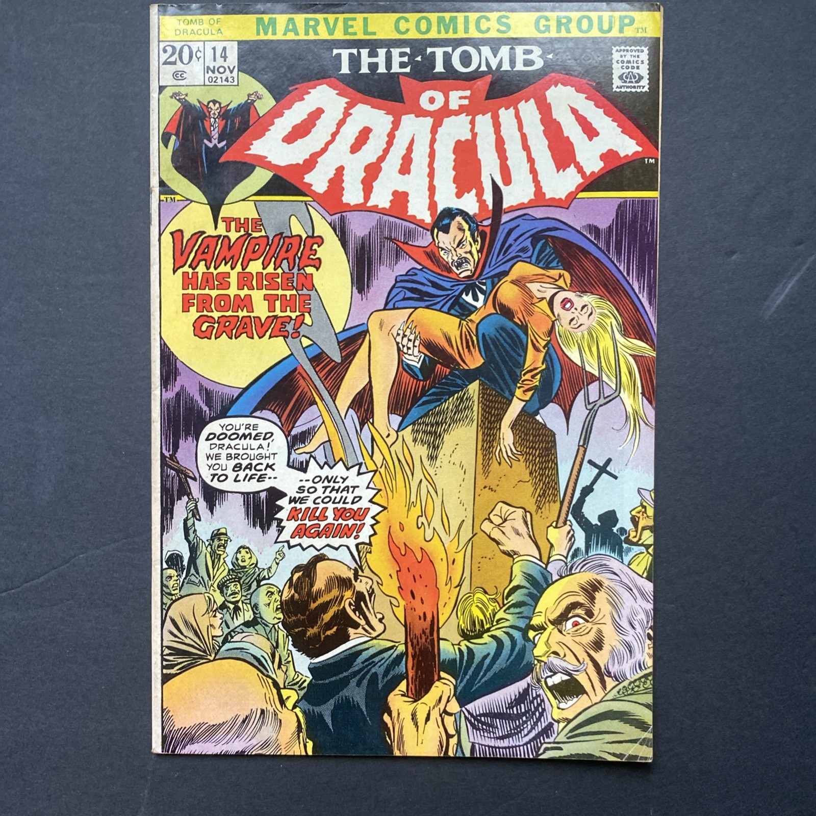 TOMB of DRACULA 14 WP 1973  BLADE the Vampire Hunter HOT  BOOK