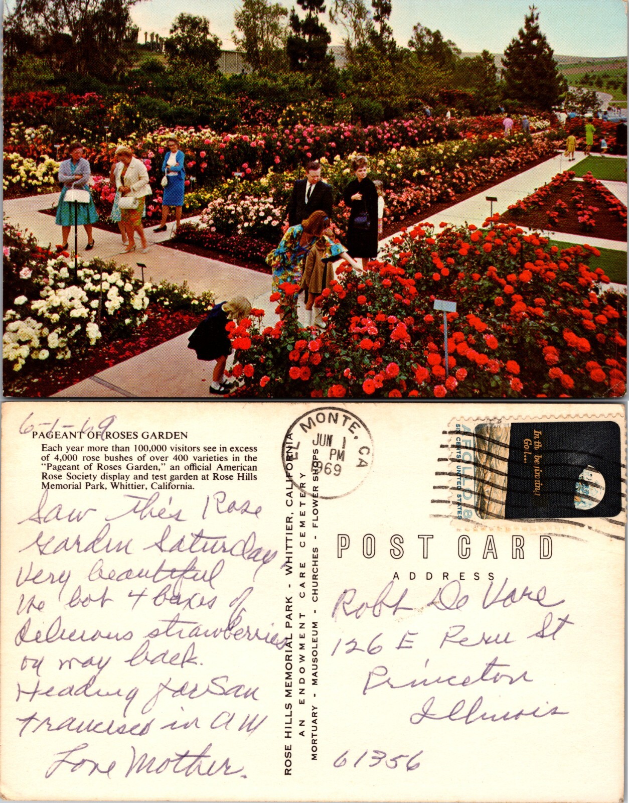 Rose Hill Memorial Park Pageant of Roses Garden California CA Postcard