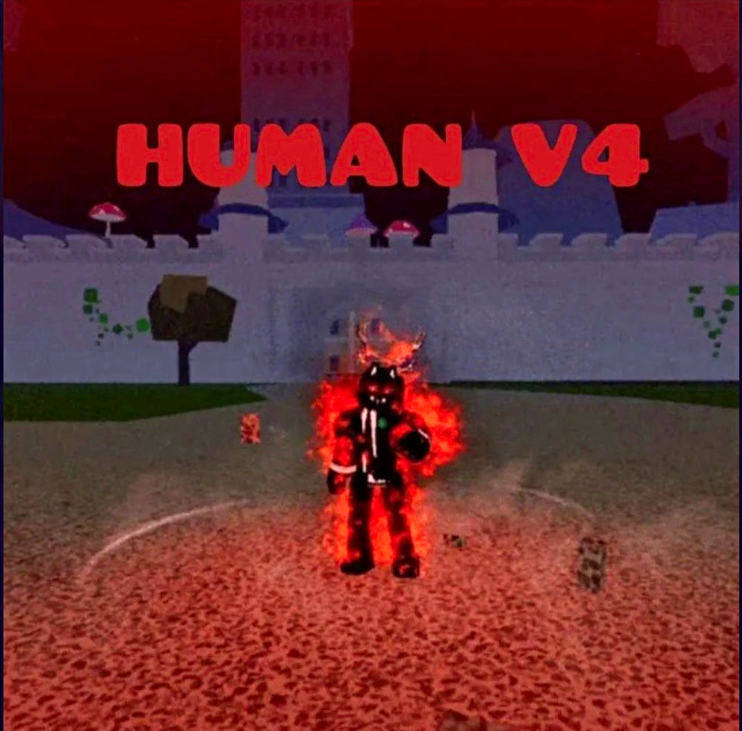 Blox Fruits✅️Lv2800⭐Human Full Gear V4⭐Godhuman⭐CDK⭐Random Luck (SGT)