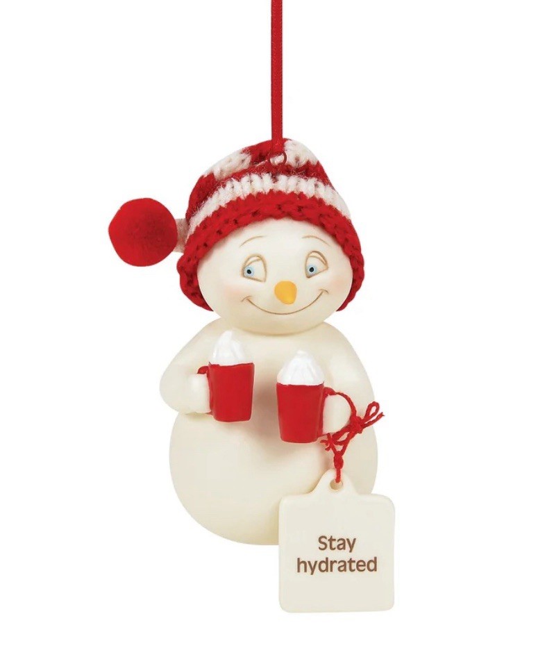 Dept 56 Snowpinions Stay Hydrated Christmas Ornament 3.19”H Bisque Por New 2026