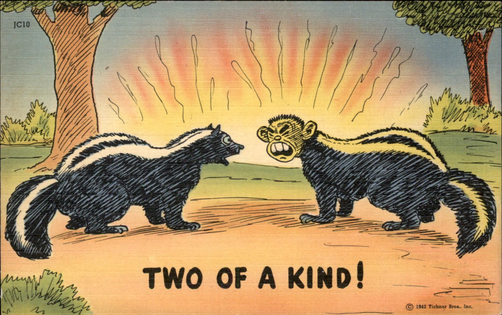 WWII Anti-Japan Propganda Comic Skunks c1942 Vintage Postcard