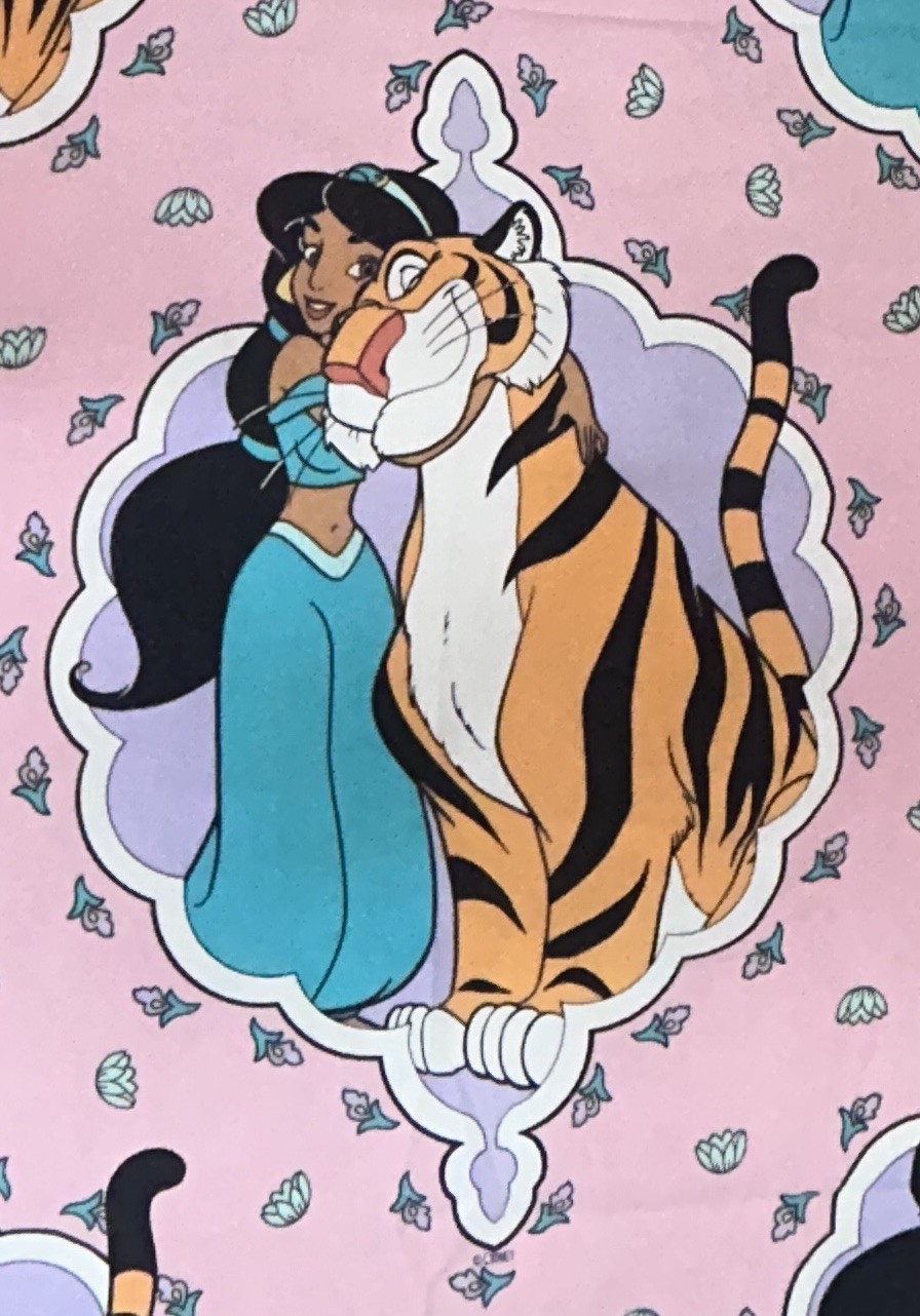 Aladdin PRINCESS JASMINE 1990’s   Disney  Vintage 1994 Twin Sheet