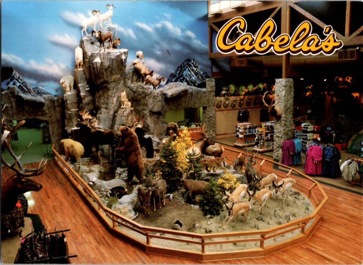 Sidney NE postcard CABELAS STORE INTERIOR WILDLIFE DISPLAY & RETAIL 9/12 BQ1883