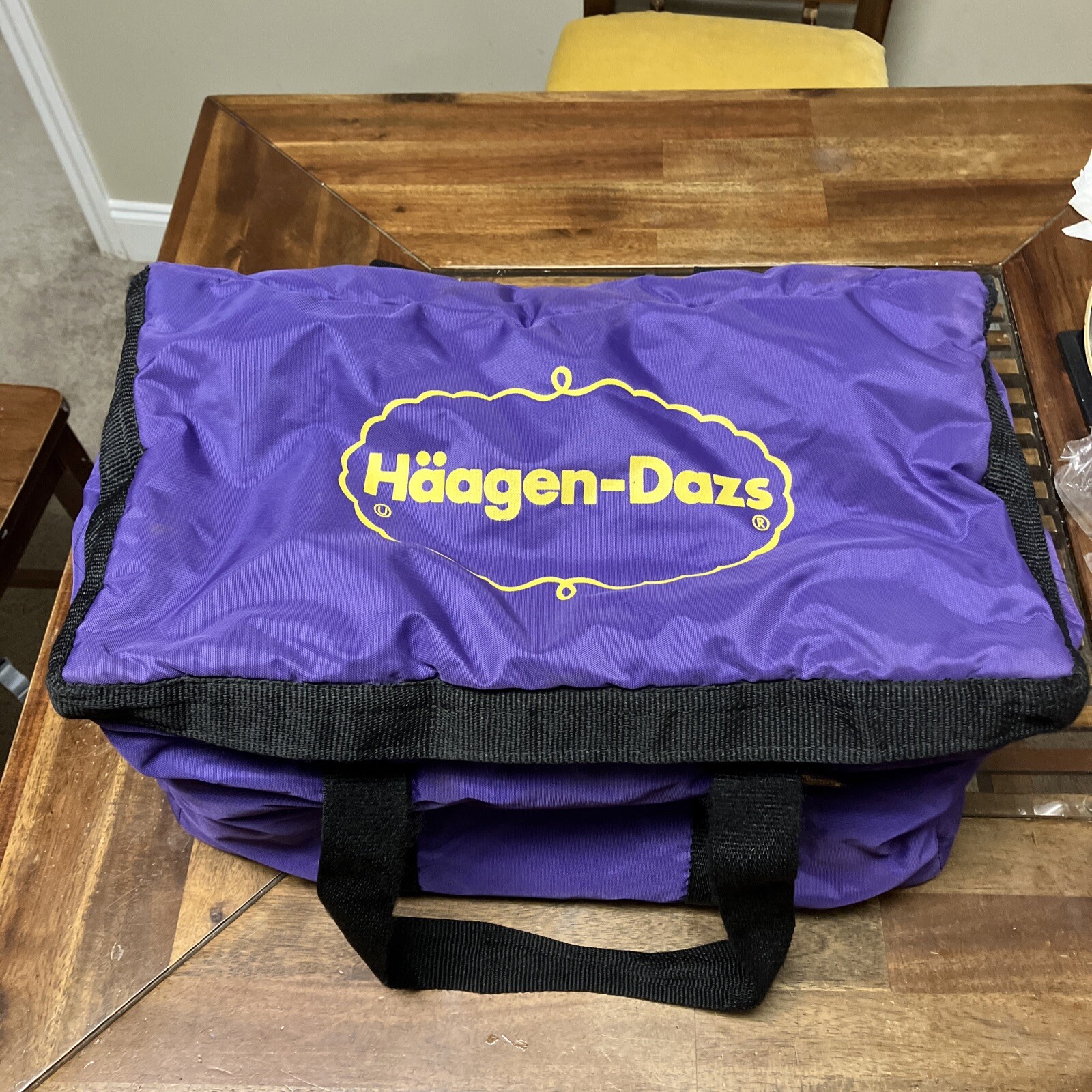 Vintage HAAGEN-DAZS BOYSENBERRY Insulated Delivery Bag MADE IN USA by Climax Ind