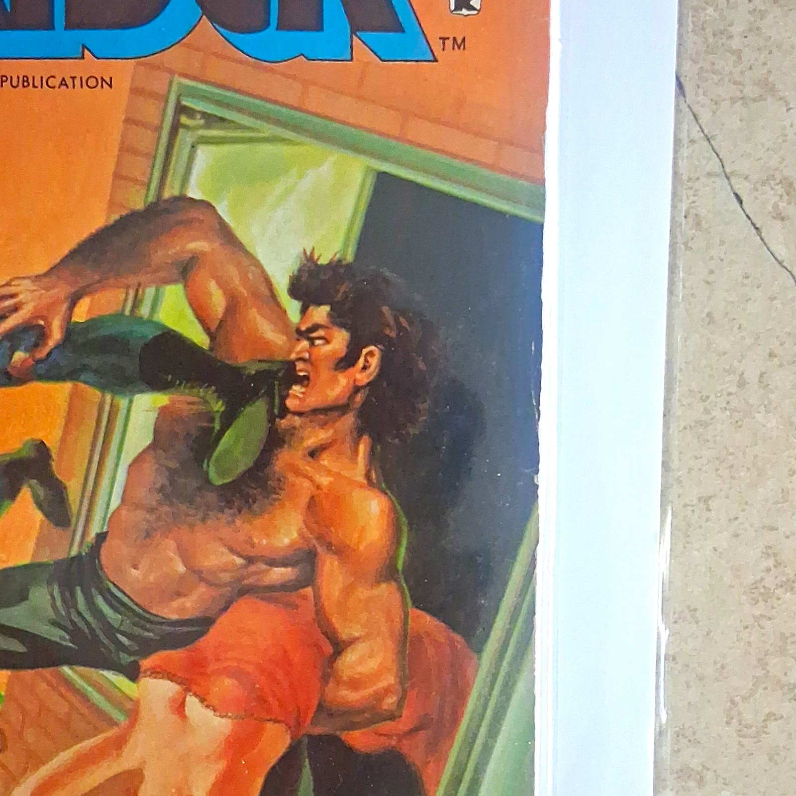 Hell Rider #2 Skywald publications 1971