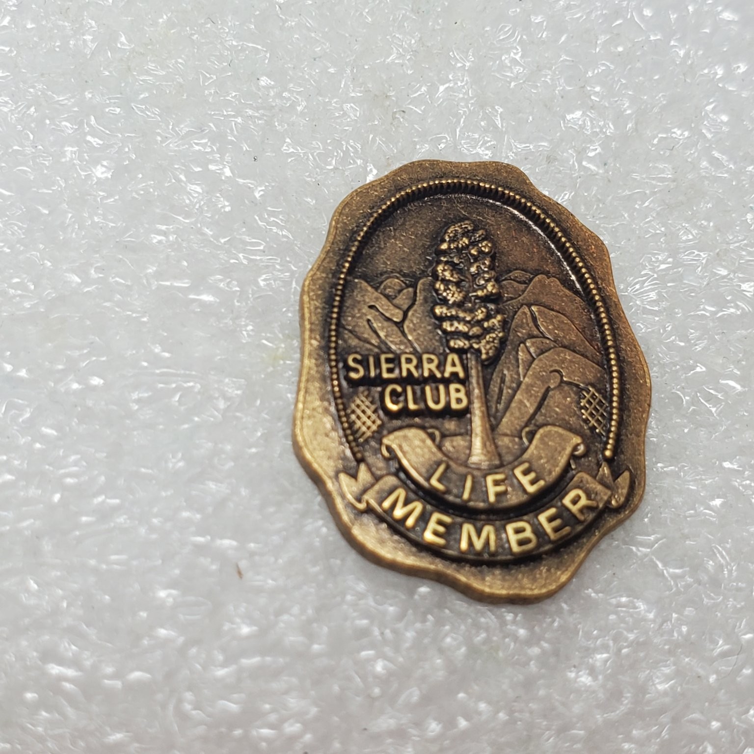 Sierra Club Pinback Button Life Member USA Metal Clutch Post Pin