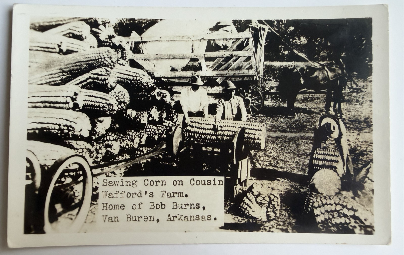 c1940s RPPC Sawing Corn On Cousin Wafford\'s Farm Van Buren AR Exaggeration 