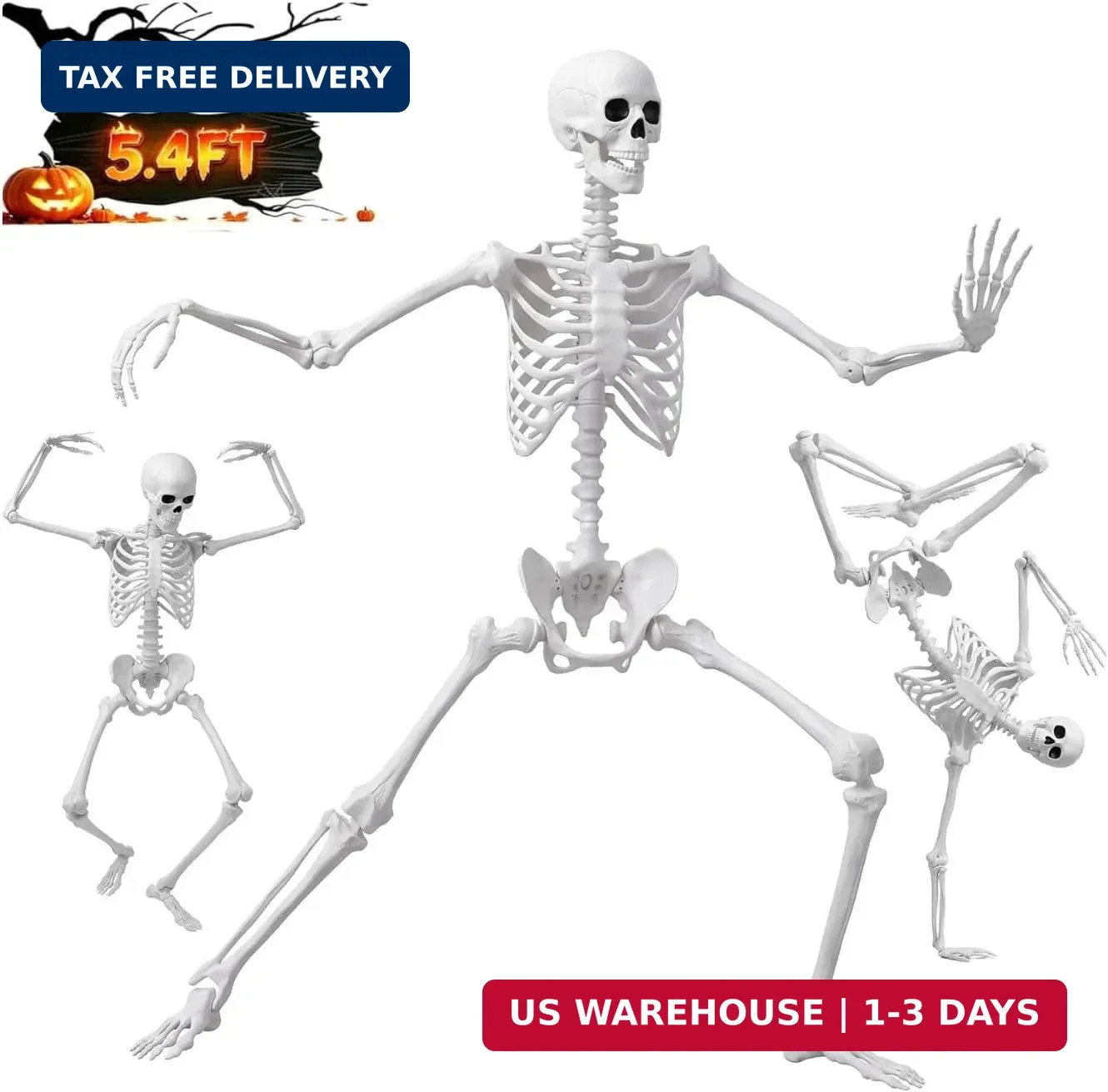 5.4FT/165cm Halloween Life Size Human Skeleton with Full Body Posable Joint