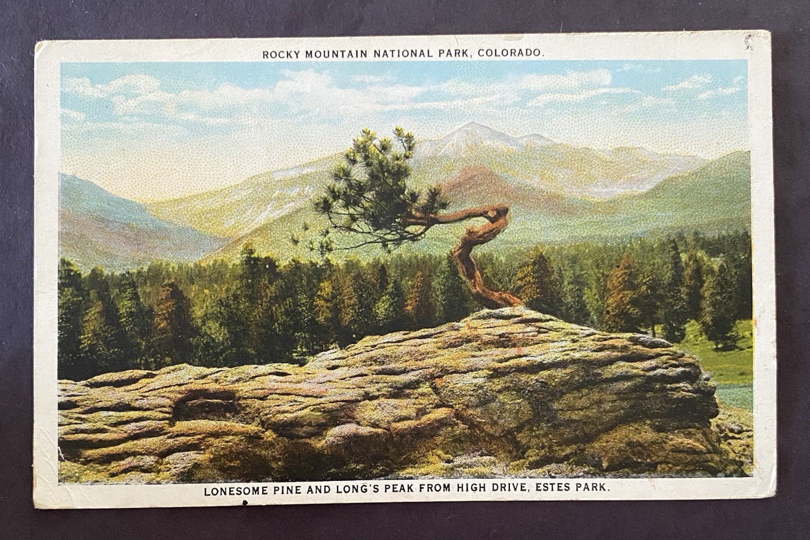 CO. Rocky Mountain National Park. Estes Park.   WB. Posted.                 C296
