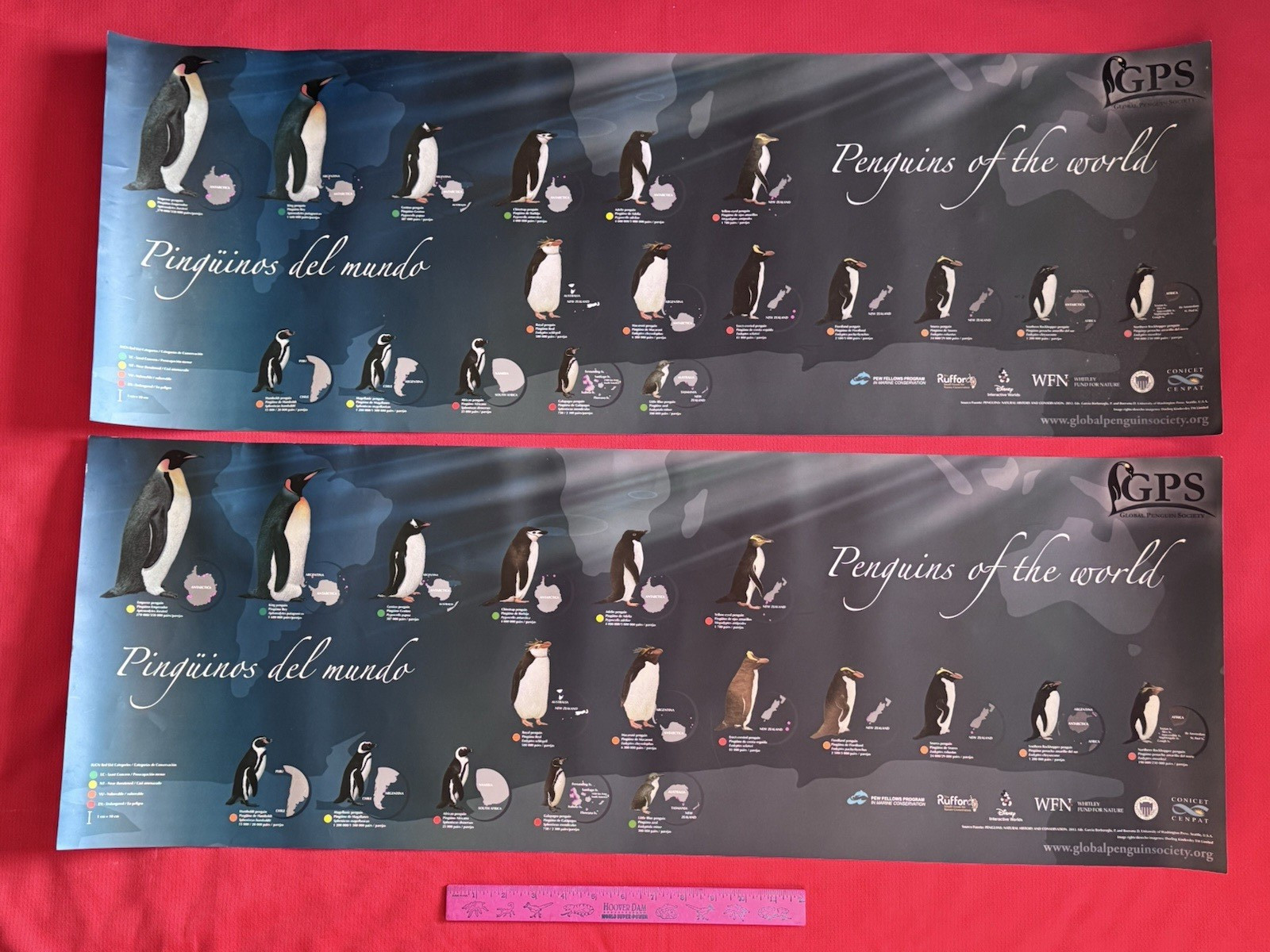2 PENGUIN POSTERS FROM GLOBAL PENGUIN POSTER SOCIETY PENGUINS OF THE WORLD