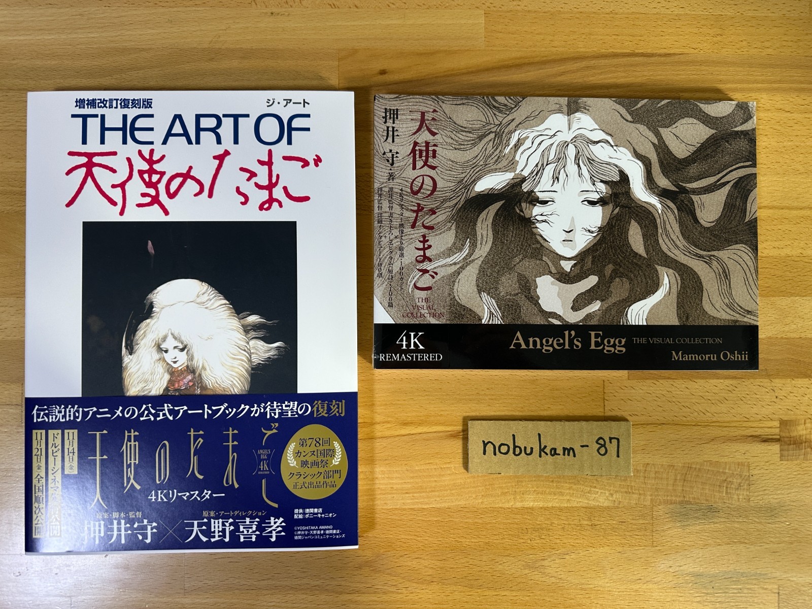 THE ART OF Tenshi no Tamago Angel's Egg + THE VISUAL COLLECTION Mamoru Oshii set