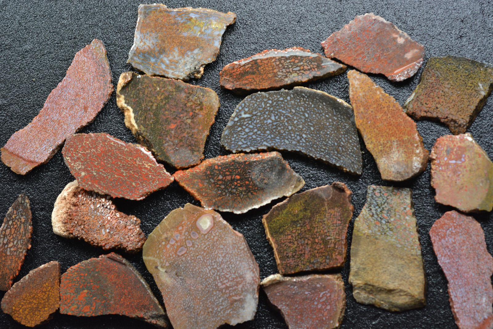 100 Grams of Agatized Dinosaur Bone Slabs 