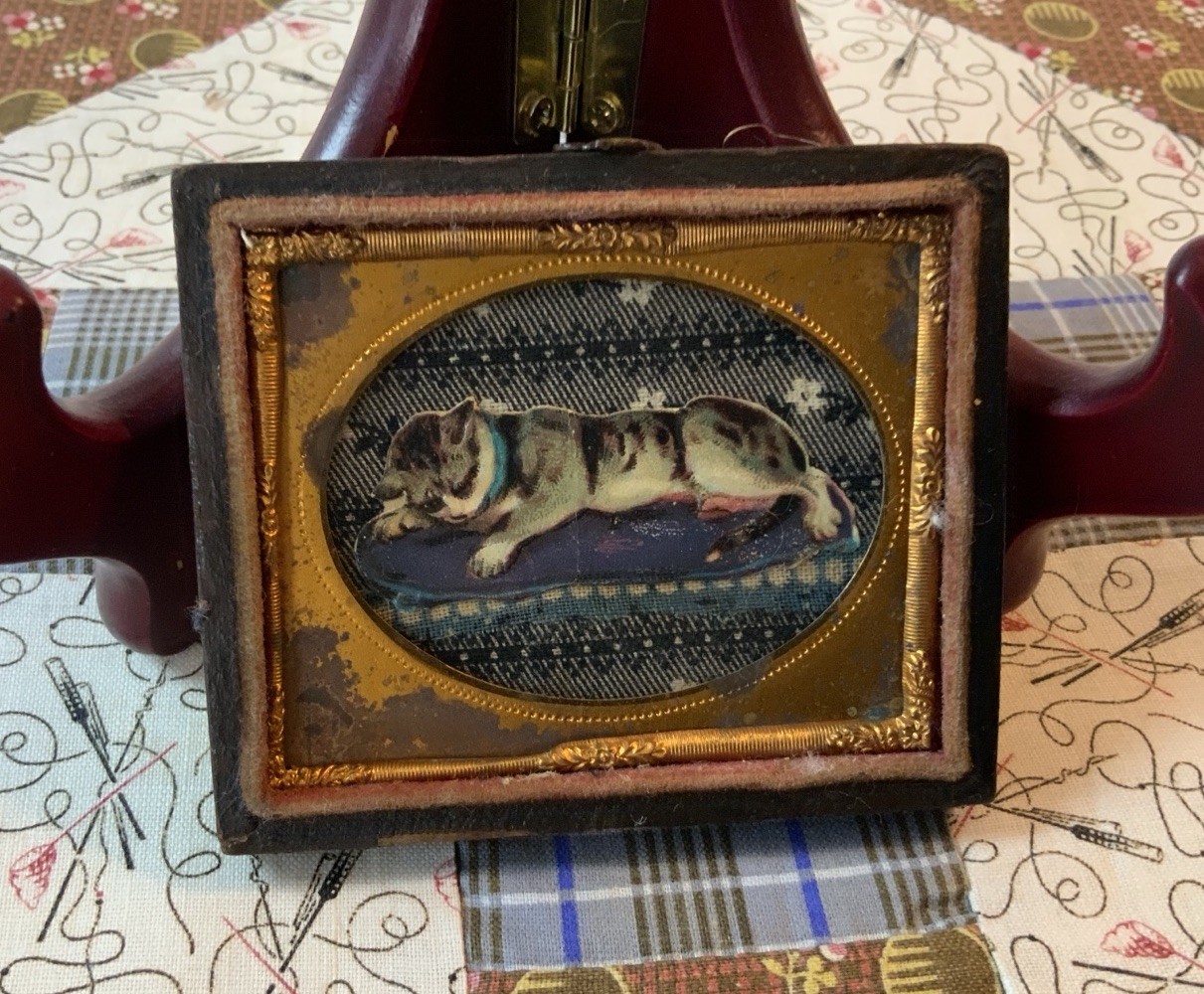 Vintage Antique Victorian Trade Cared Ephemera Framed, Union Case, Kitty Cat