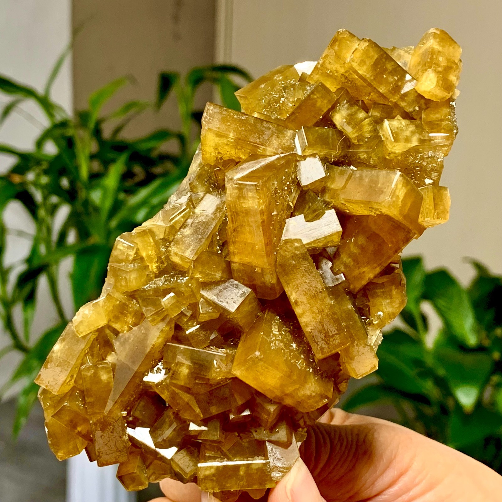 1.27LB Natural Crystal Gold Cubic Barite Based on Purple Spherical Fluoride
