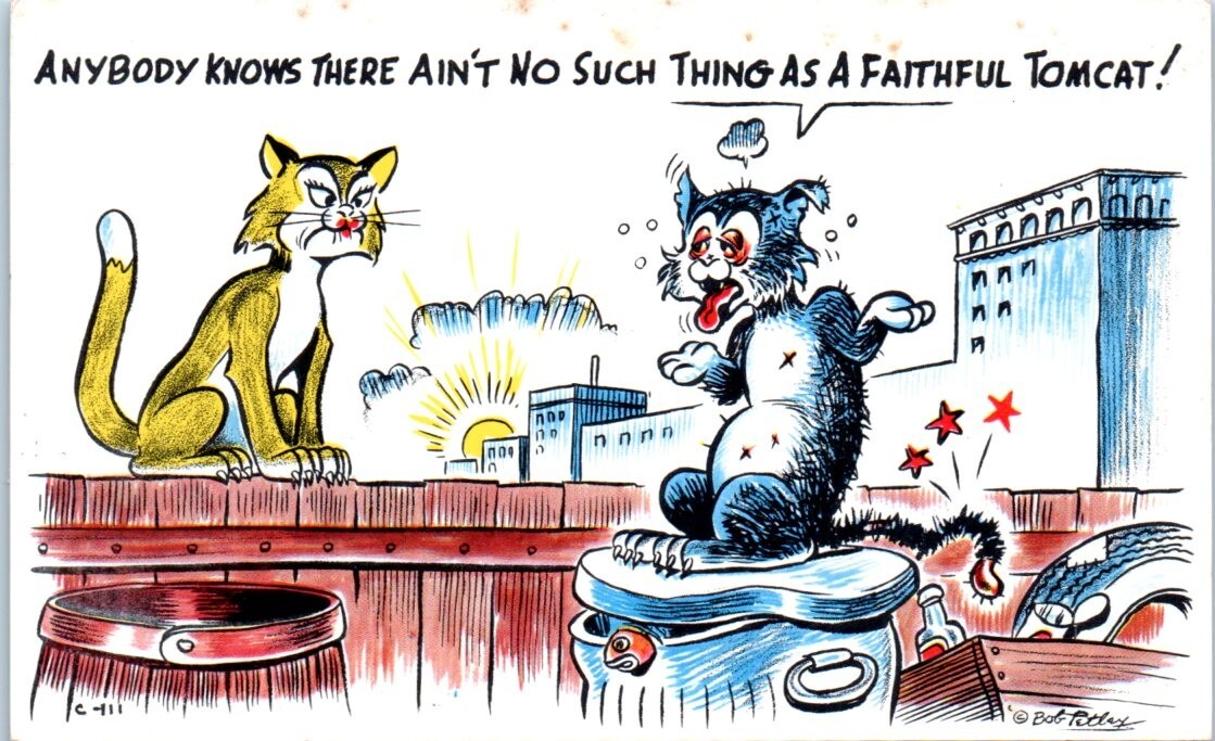 No Such Thing as a Faithful TOMCAT Alley Cats comic - Postcard