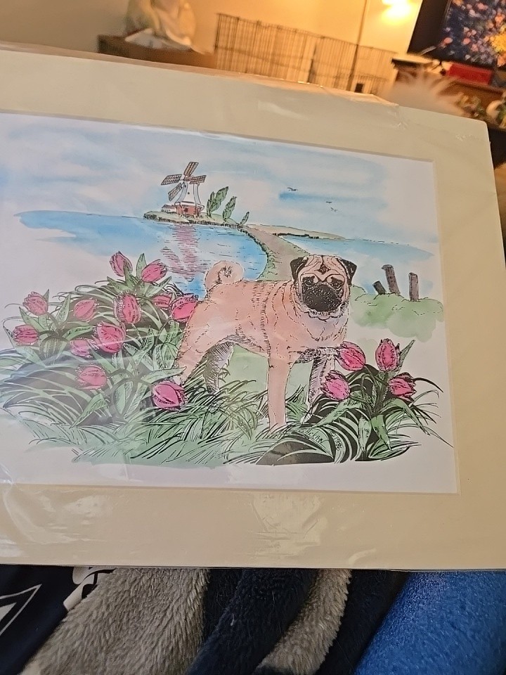 Pug Dog Print  11x14