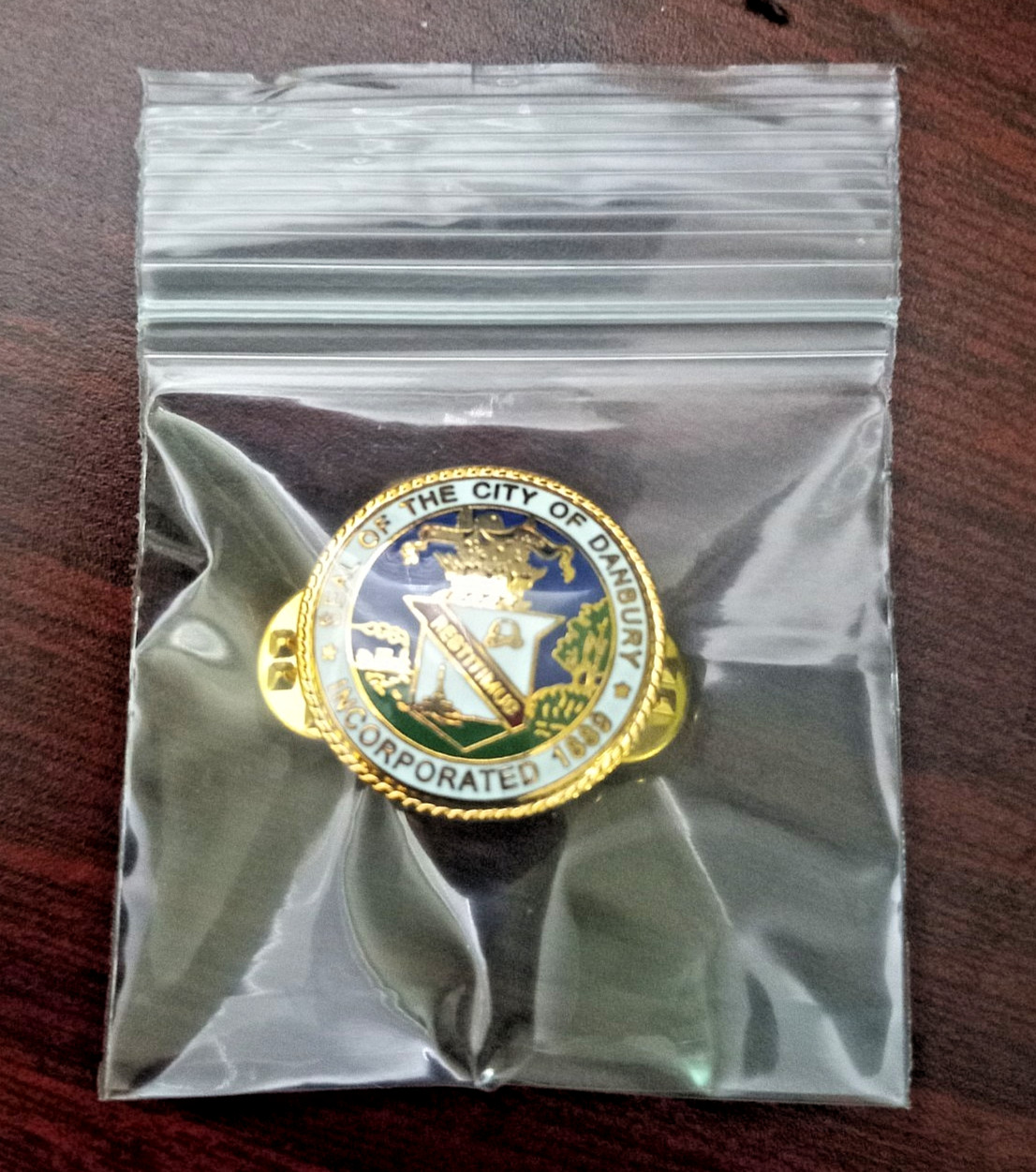 City of Danbury Connecticut Seal Badge Metal Emblem Municipal CT Collectible Pin