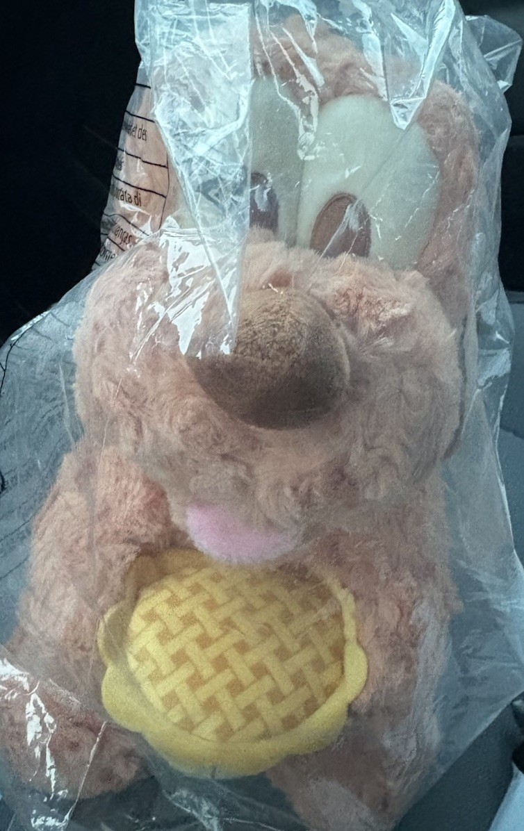 Pluto w/ Apple Pie - Fall Vibes 10” Plush - 2026 Disney Store Exclusive - New