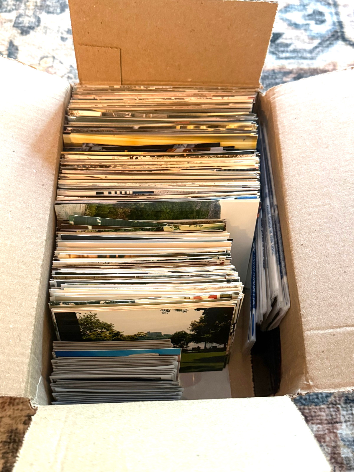 Huge Lot Over 5.63 Pounds Found Photos Pictures Snapshots Vacation Family Life