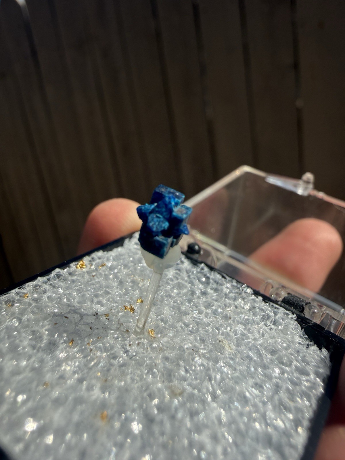 EXTREMELY RARE Boleite over Cumengite