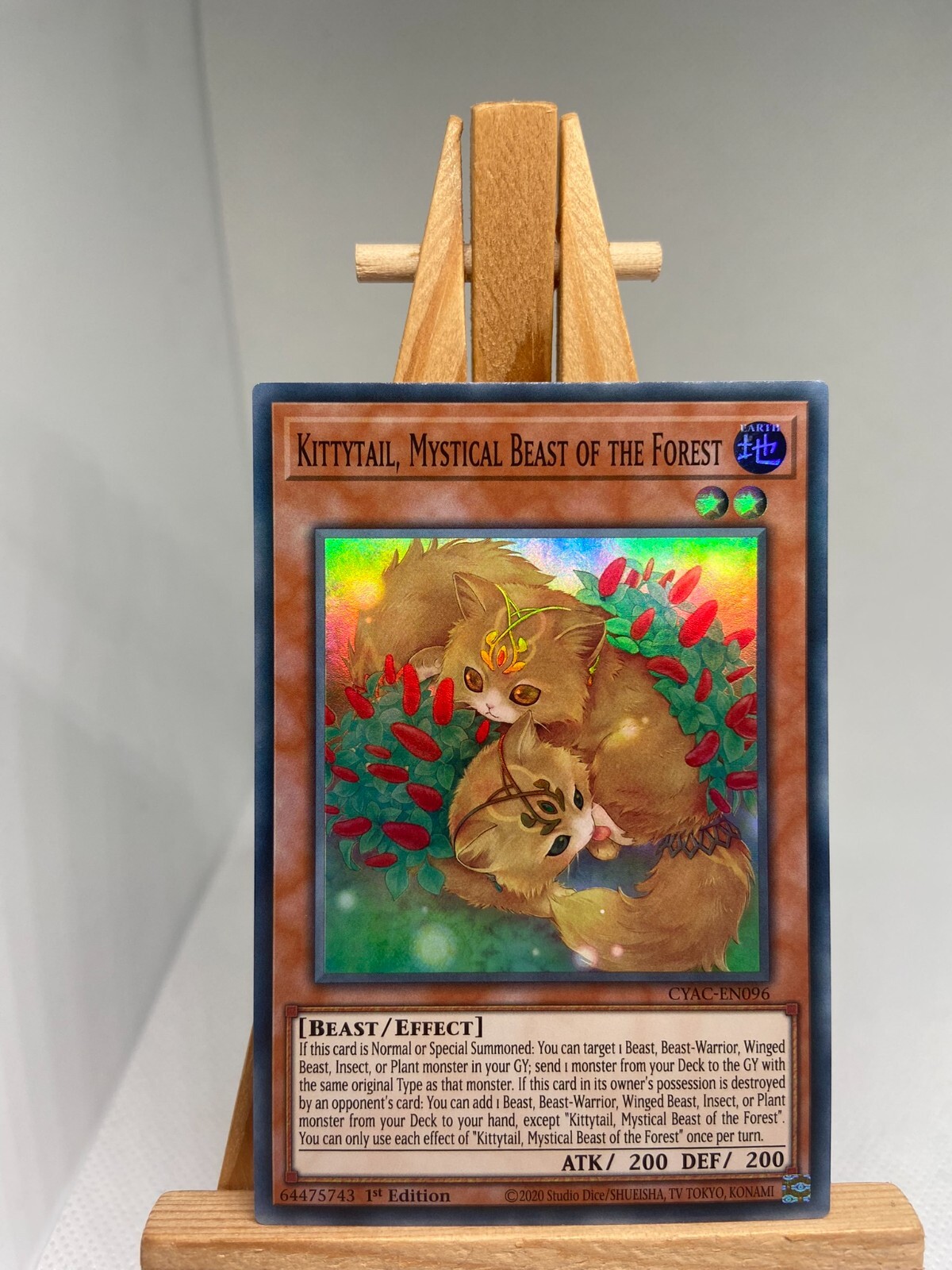 Kittytail, Mystical Beast Of The Forest - Super Rare 1st Ed CYAC-EN096 NM YuGiOh