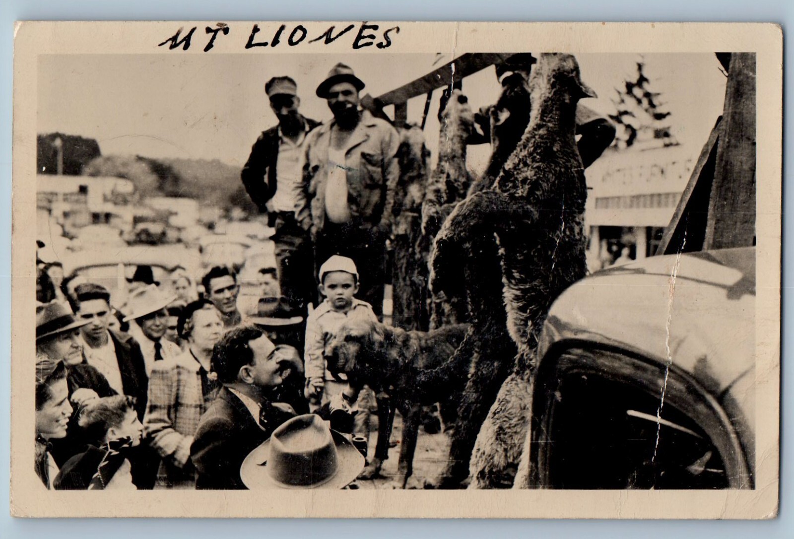 Sweet Home Oregon OR Postcard RPPC Photo Cougar Mountain Lion Hunting c1910\'s