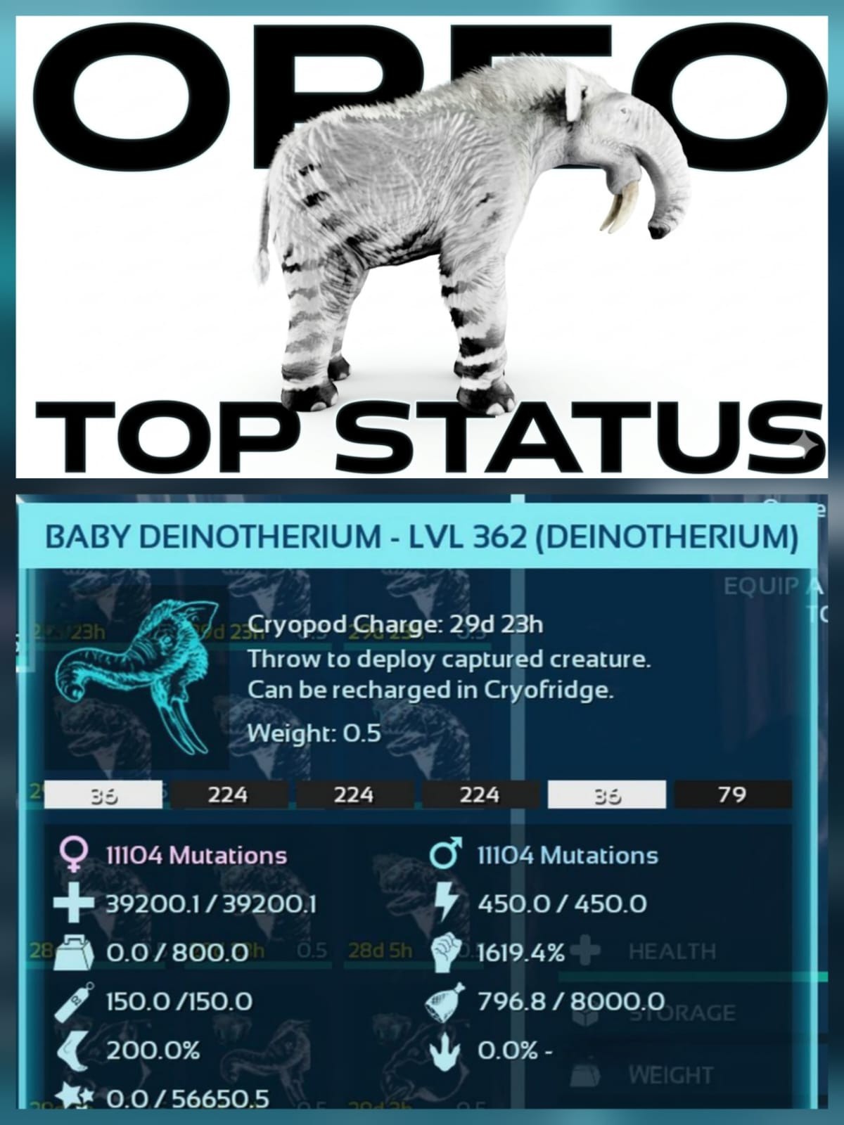 Deinotherium Top Stats Level 362 Baby  Ark Ascended Pve Official-Asa PC/XBOX/PS5