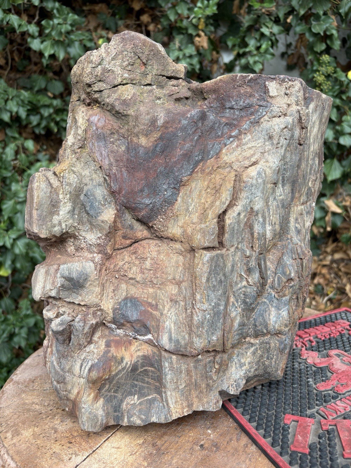 ☘️RR⛏️: Rough Full Round Detailed New Mexico Petrified Wood 111 Lb. 🪵