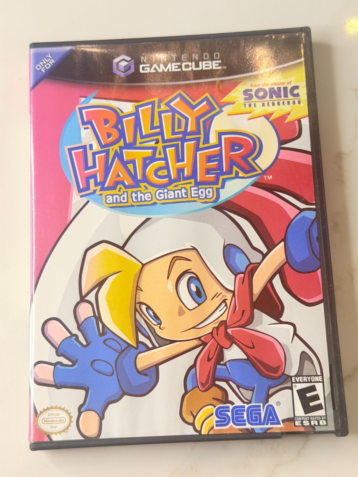 🎮Billy Hatcher and the Giant Egg with Manual Nintendo GameCube ✅ TESTED 🎮