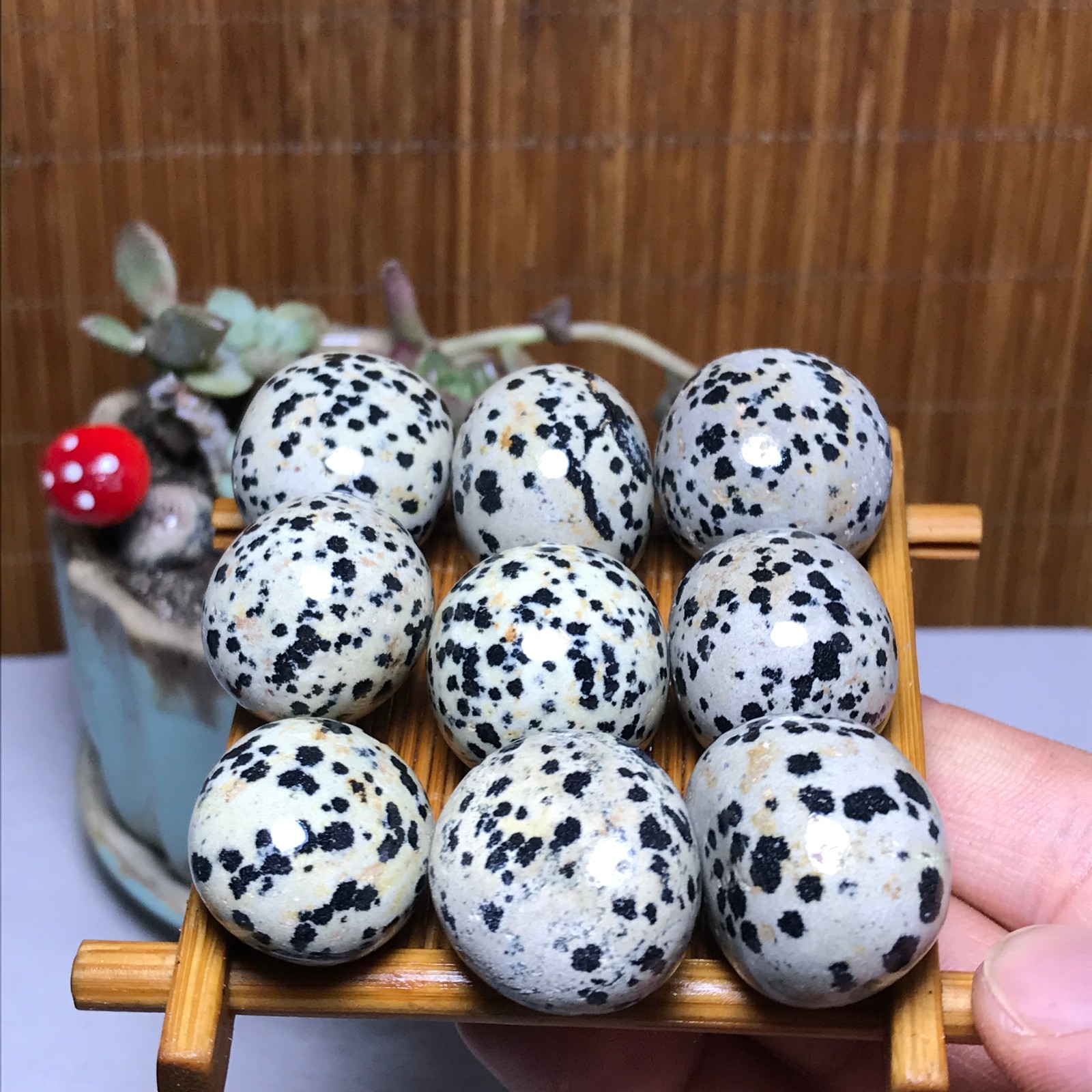 24-23-19mm 9Pcs Natural spotted stone Crystal gemstone Mineral Specimen A4399