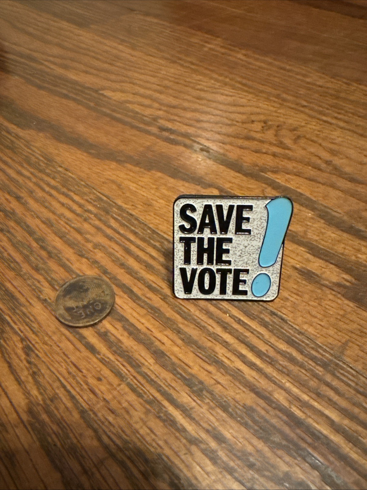 Save The Vote Pin