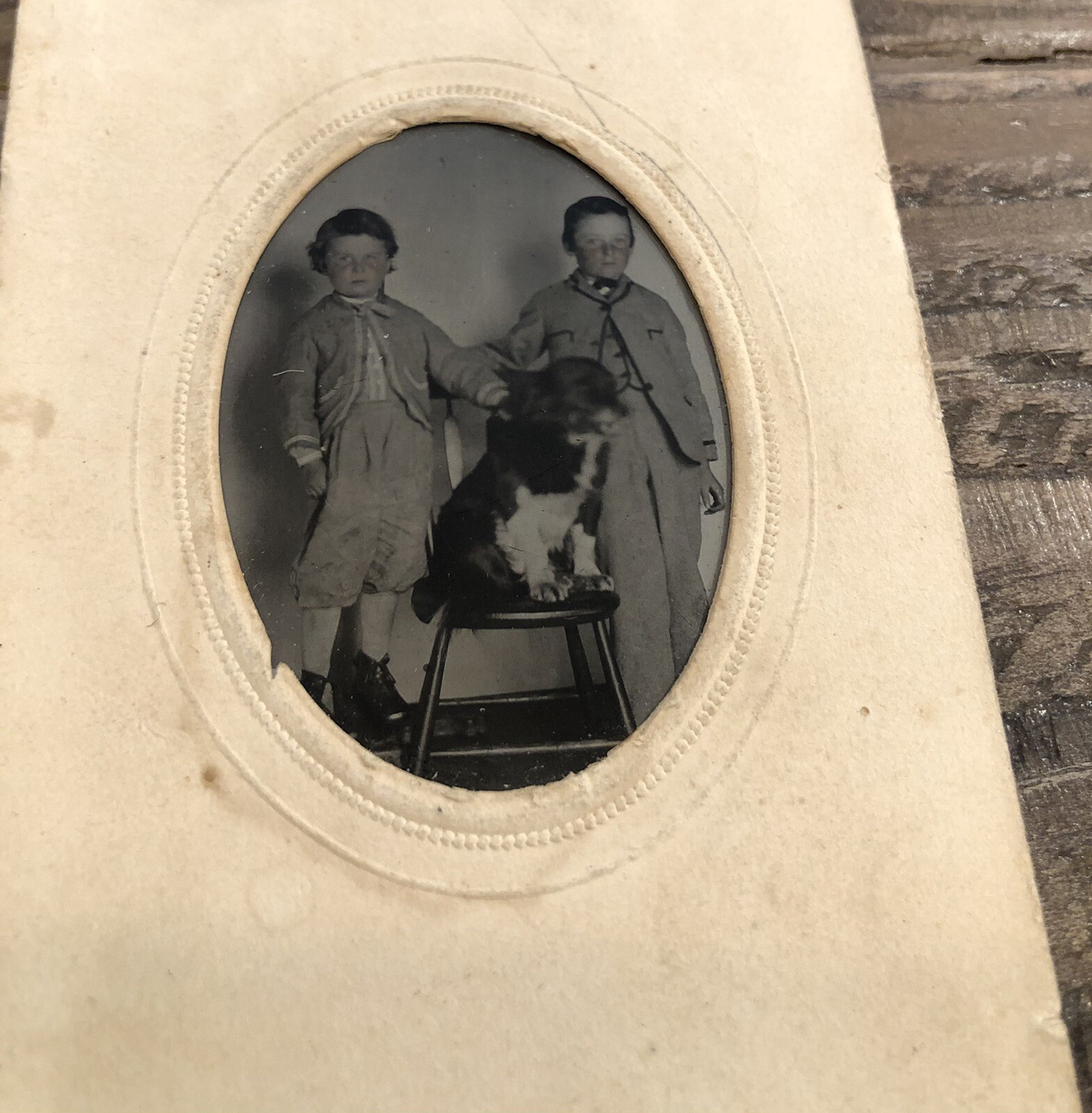 1860s Tintype Photo Little Boys Dog Takes the Chair - Visible Shadow antique