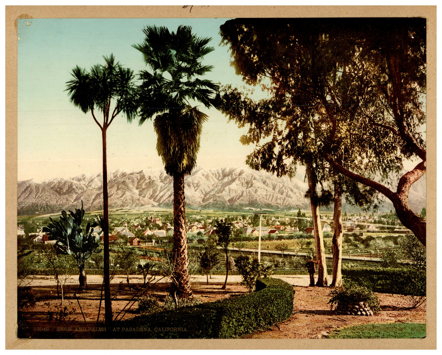 USA, California, Pasadena, Snow and Palms Photochrome, Vintage Photochrome 