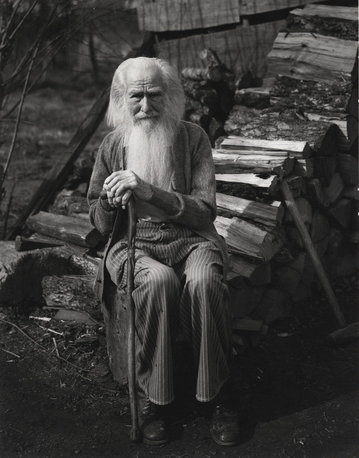 1936 My Father at Ninety Photograph by IMOGEN CUNNINGHAM (printed later)