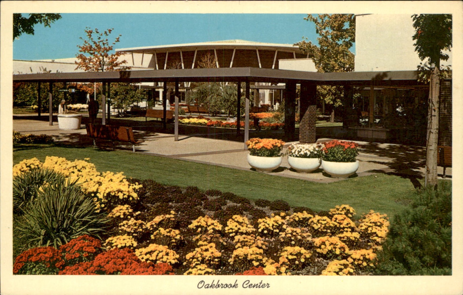 Oak Brook Illinois IL Oakbrook Center Curt Teich c1950s-60s Vintage Postcard