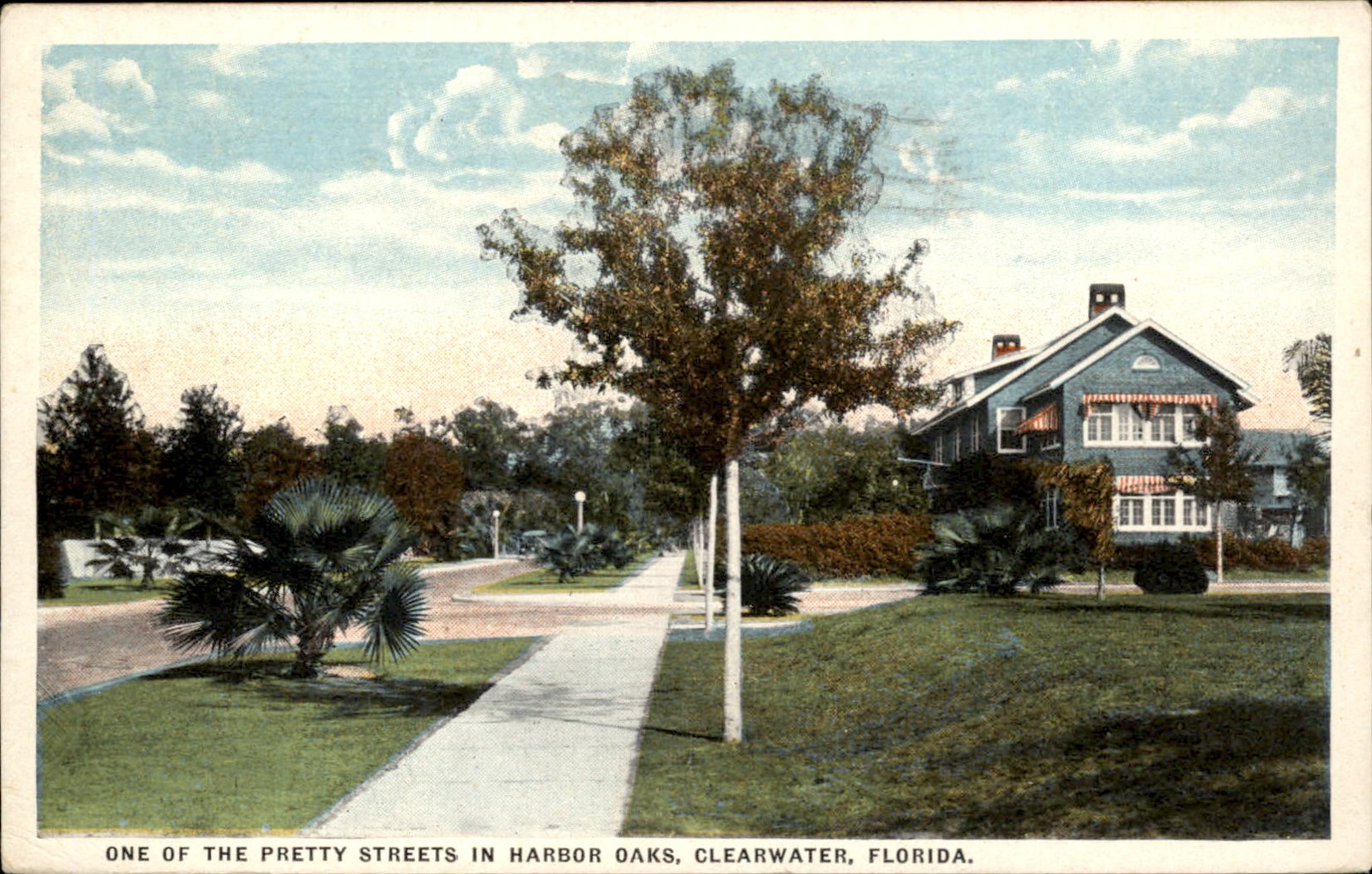 Clearwater FL Pretty Street The Asheville Post Card Co. c1910 Vintage Postcard