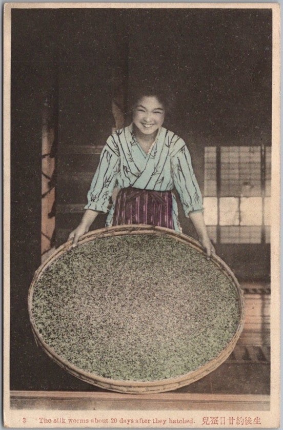 Vintage 1910s JAPAN Postcard 