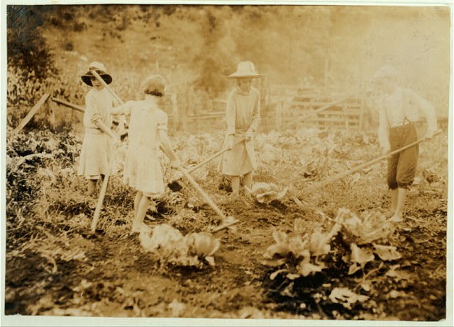 Mt. Vernon Kentucky 1916 Bryant children hoeing on farm Rockcastle County