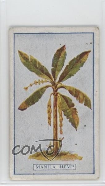 1917 Gallaher Plants of Commercial Value Tobacco Manila Hemp #51 1p9e