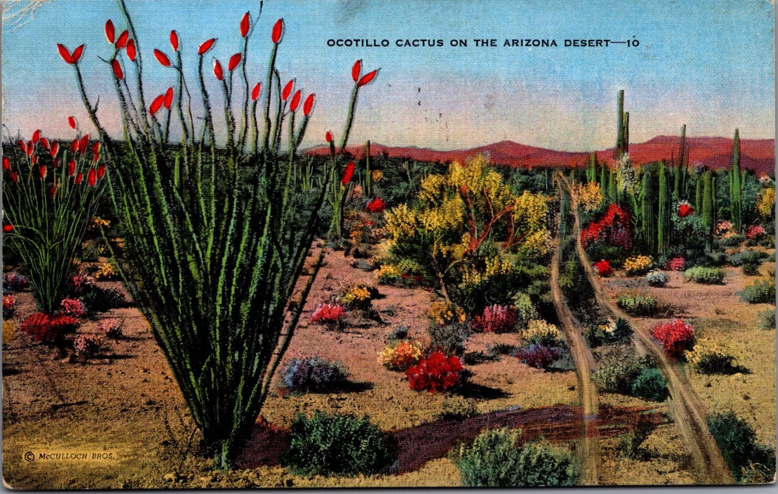 Vintage 1941 Ocotillo Cactus Arizona Desert Linen Postcard Phoenix Posted